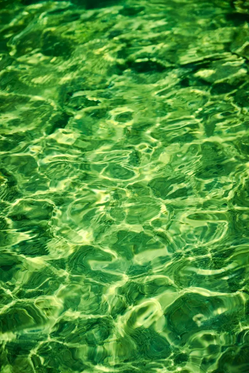 photo by Yoksel 🌿 Zok(https://unsplash.com/@yoksel?utm_source=templater_proxy&utm_medium=referral) on Unsplash|307x460