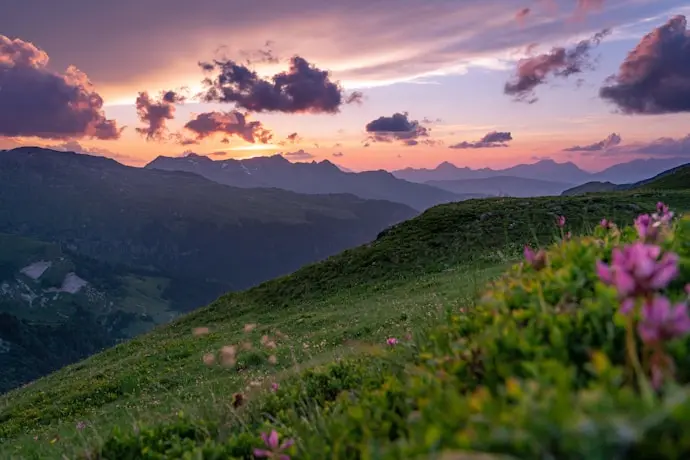 photo by Hugues de BUYER-MIMEURE(https://unsplash.com/@huguesdb?utm_source=templater_proxy&utm_medium=referral) on Unsplash