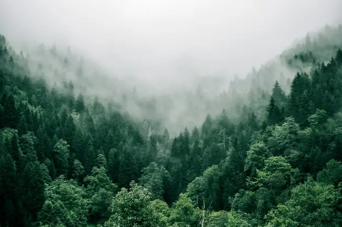 photo by Marita Kavelashvili(https://unsplash.com/@maritaextrabold?utm_source=templater_proxy&utm_medium=referral) on Unsplash