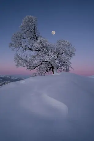 개발을 잘하기 위해 생각해 볼 것 커버 이미지