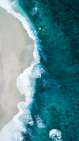 photo by Shifaaz shamoon(https://unsplash.com/@sotti?utm_source=templater_proxy&utm_medium=referral) on Unsplash