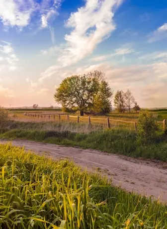 photo by Tomasz Filipek(https://unsplash.com/@tomasz_filipek?utm_source=templater_proxy&utm_medium=referral) on Unsplash