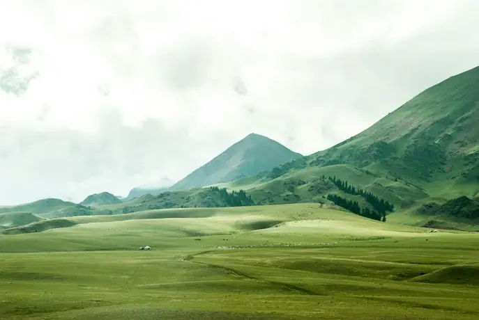photo by Jeremy Cai(https://unsplash.com/@j?utm_source=templater_proxy&utm_medium=referral) on Unsplash